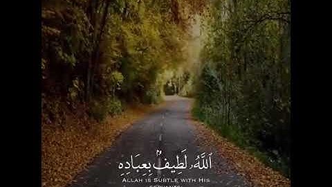 القارئ إسلام صبحي تلاوة خاشعة ارح قلبك ♡ حالات واتس اب / ستوريات قرآن || Quran status