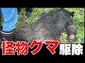 【閲覧注意】怪物クマ、危険な有害駆除現場のリアル