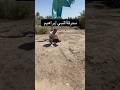 محرقة النبي أبراهيم ع لطفا الاشتراك بالقناة بابل محرقة النبي ابراهيم محمد المياحي كنوز أوروك