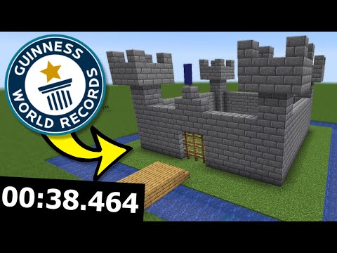 Minecraft World Records NO ONE knows about