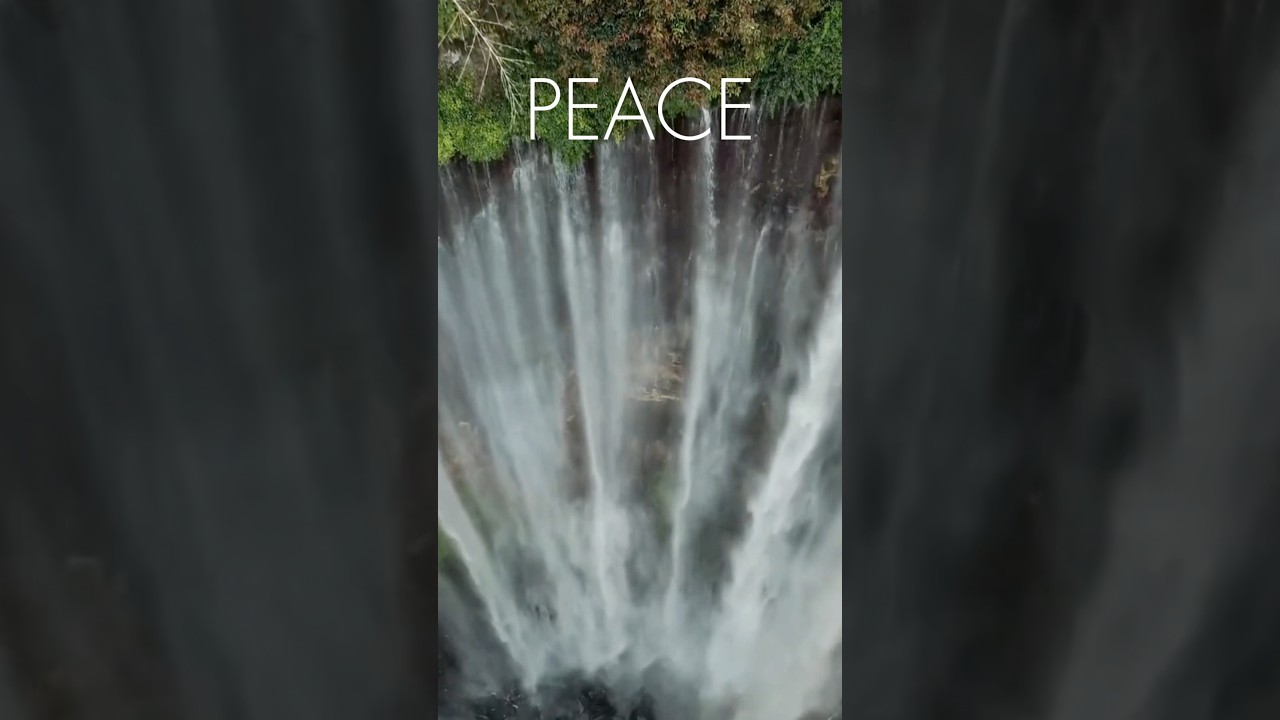 Stop Scrolling… This Music Will Calm You Instantly