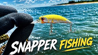 MORNING FISHING SESSION CAUGHT SNAPPER