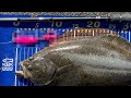 「あの」ルアーでサーフヒラメが簡単に！？