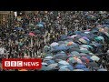 New video by BBC News on YouTube