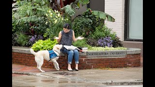 Hearing Dog Graduation | Southwest Region | April 19, 2024 | Canine Companions