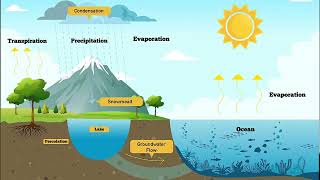 The Water Cycle song (in style of finesse by Bruno Mars ft. Cardi b)