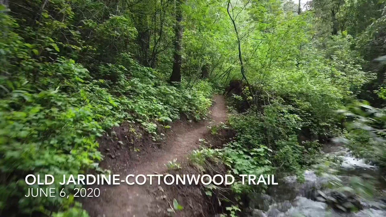 Old Jardine-Cottonwod Trail, June 2020