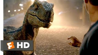 Jurassic World Fallen Kingdom 2018 - Goodbye Blue Scene 910 Movieclips