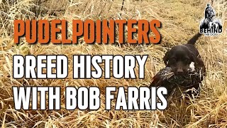 Pudelpointers with Bob Farris: The Dog You Might Need to Train Next!