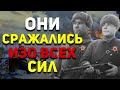 Сколько человек ПОГИБЛО при ОСВОБОЖДЕНИИ Ленинграда? | История России