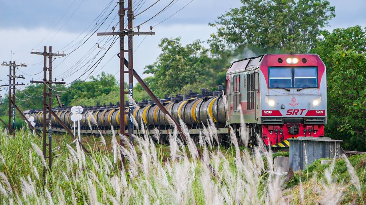 คลิปรถไฟไทยปลายฝนต้นหนาว สถานีรถไฟพิจิตร-ท่าฬ่อ | รวมคลิปรถไฟไทย ขบวน 111/102/629/402/8