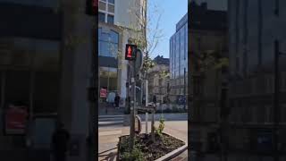 Panorama Nancy. France #shorts
