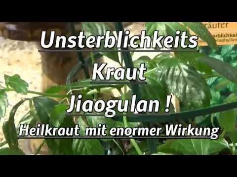 Video: Astragalus - das Kraut der Unsterblichkeit