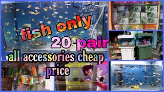 ?❤️fish only 20 pair❤️ all accessories cheap and price❤️❤️