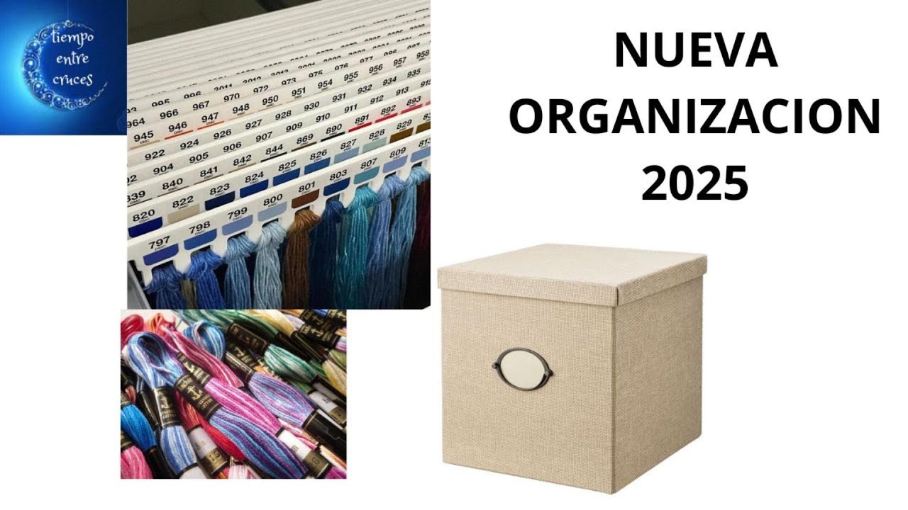 NUEVA ORGANIZACION 2025