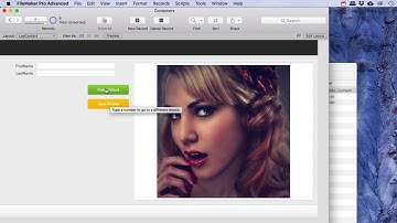 Filemaker Pro Container Fields