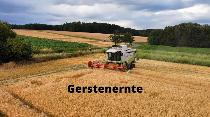 Gerstenernte LU Wasmuss,Wilken,K...