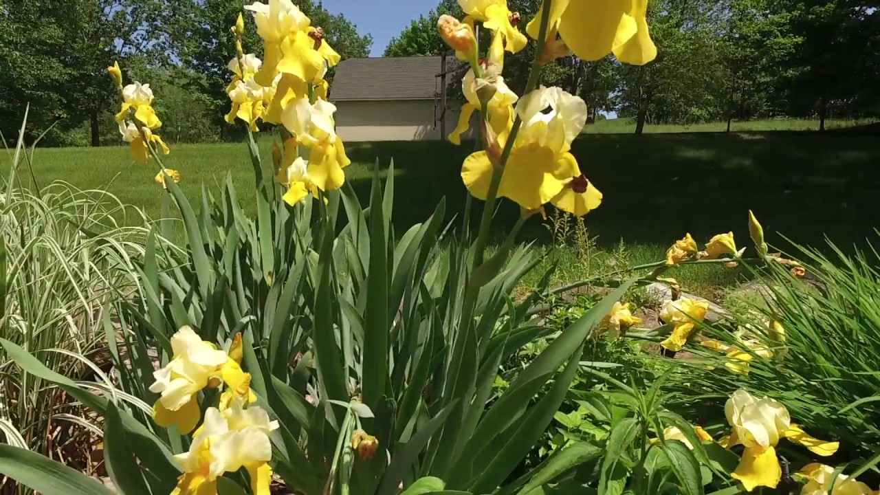 uava 7440 Logan Lane, Traverse City, MI Unbranded