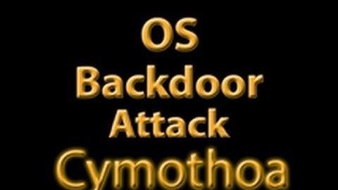 OS Backdoor Attack (Cymothoa)