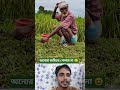 চেয়েছিলাম অন্যের জমিতে 😆😆 #foryou #funny #viralvideo #realfools #comedy
