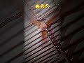 funny reel viral video 😂😂😂📸