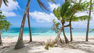 Seaside Serenity 🌊 Tropical Beaches with Chill Summer Bossa Nova