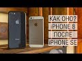 Неделя с iPhone 8: треск в динамике, глюки iOS 11, переход с iPhone SE и сравнение их камер