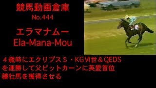 【競馬】エラマナムー　Ela Mana Mou【No 444】
