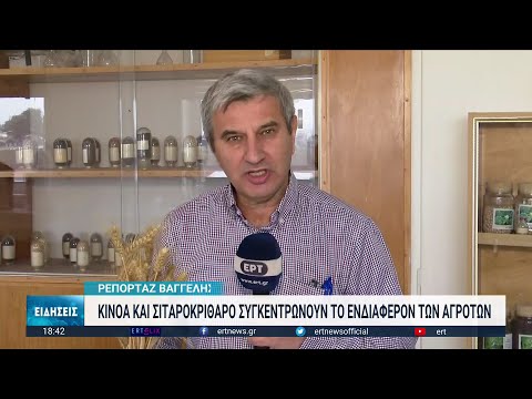 Κινόα και σιταροκρίθαρο συγκεντρώνουν το ενδιαφέρον στις εναλλακτικές καλλιέργειες