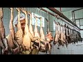 How asian farmer raising millions of frogs and harvest  frog meat processing in factory  frog farm