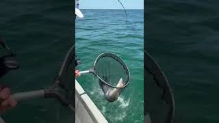 Fishing with Captain Josh Garcia, a top guide in Port A. Caught a Big Red!