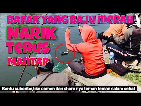 Bapak baju merah rejeki nya mantap #mancingmania #mujair #viral