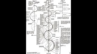 The Real World Utility of Walter Russell's Periodic Table: You didn't know it went this deep👀