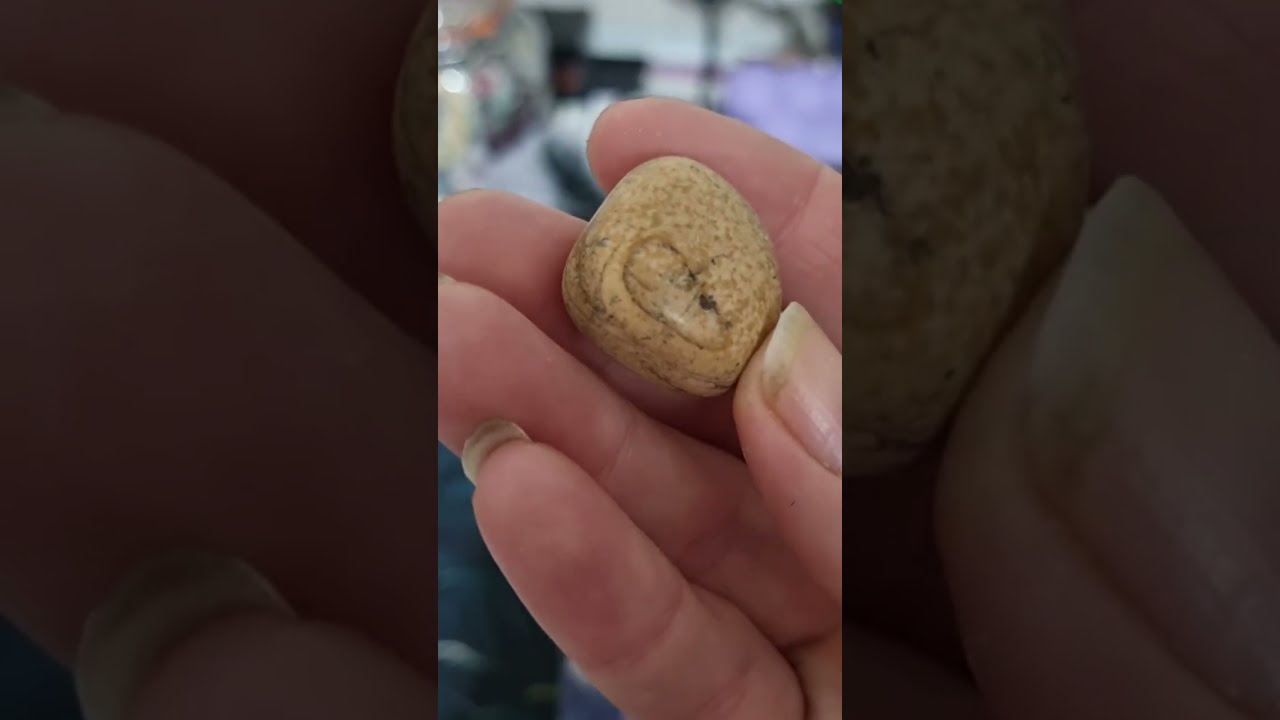 Все дни рождественского календаря собраны в одном вертикальном ASMR-видео!