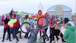 Harlem Shake From 