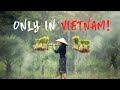 7 Interesting and Surprising Things ONLY IN VIETNAM! 🇻🇳