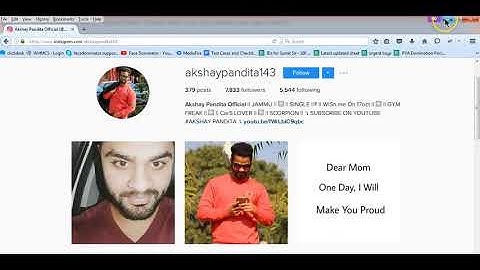 GramDominator   Scrape Instagram Image URL