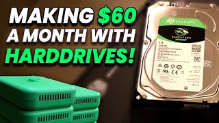 I'm Making $60 A Month With HARDDRIVES!