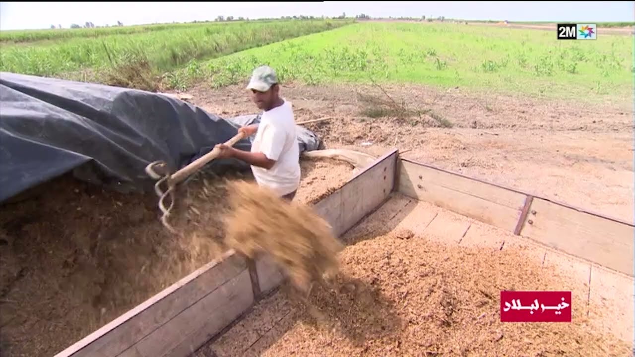 خير لبلاد : الأحد 29 أكتوبر 2023