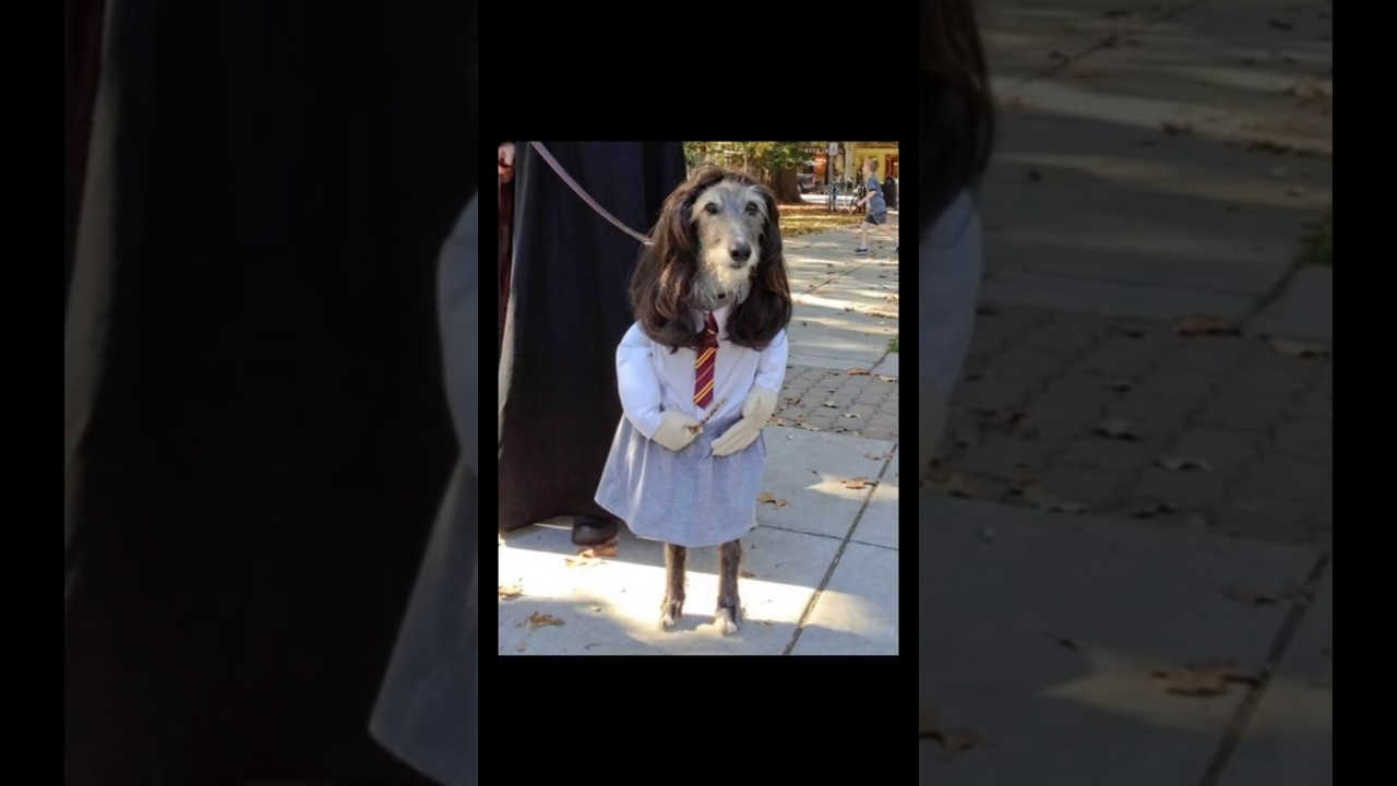 Try not to change your pfp challenge