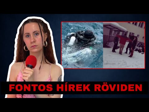 A bolgár hatos rejtélyes halála (Petrohan ügy), elhunyt olasz búvárok + más - Fontos Hírek Röviden