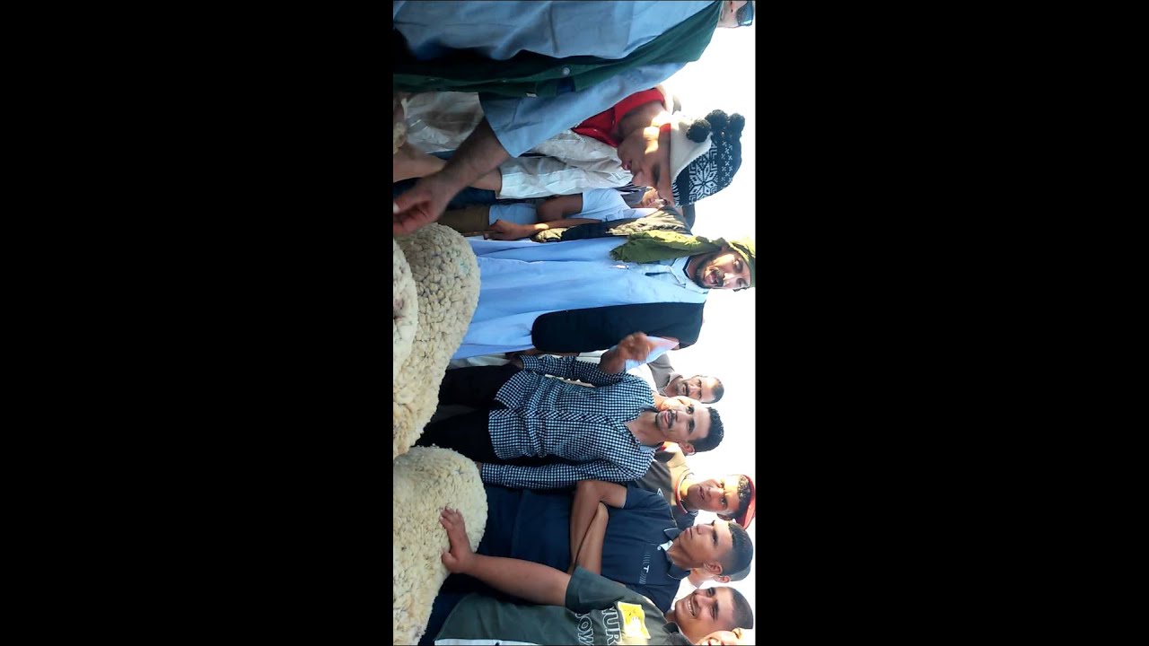 فرقة كشلوط للفكاهة بريكة