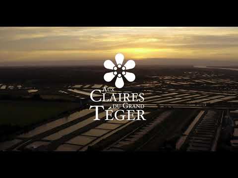 Le Grand Téger côté marais