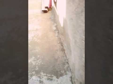 اغنية كرافاطا صيف سالا 