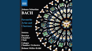 St. Matthew Passion, BWV 244: Part III: Chorale: Wir setzen uns mit Tranen nieder