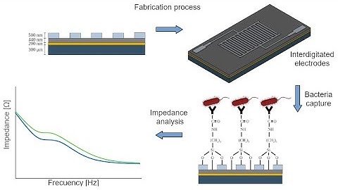 DEVELOPMENT OF AN HYDROGENATED AMORPHOUS SILICON CARBIDE-BASED BIOSENSOR FOR E.COLI DETECTION