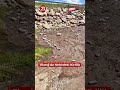 Elazığ’da Nehirdeki Kirlilik Vatandaşların Tepkisini Çekti