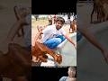 Bejubaan Janwaron Ke Liye Kuch Alag Kiya 😱#mrindianhacker#trendingshort#shortfeed#short