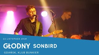 Sonbird - Głodny (Gdańsk, klub Bunkier, 22.11.18)