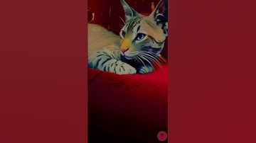 Paint effect on video 🎨🖌️| Video editing | Video editing tutorial | #viral #shorts